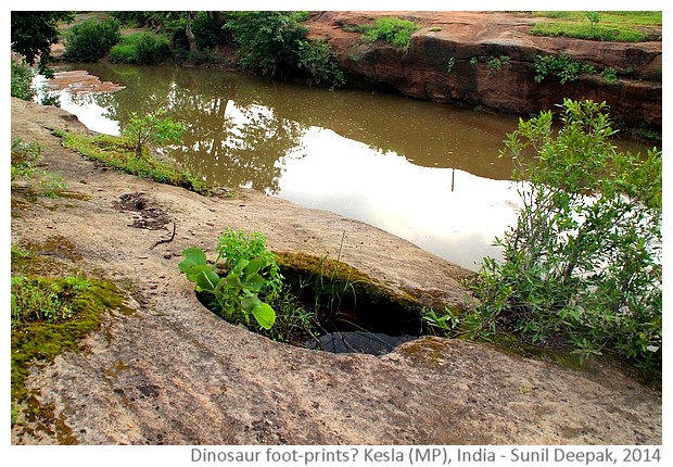 Kesla diary, India - images by Sunil Deepak, 2014