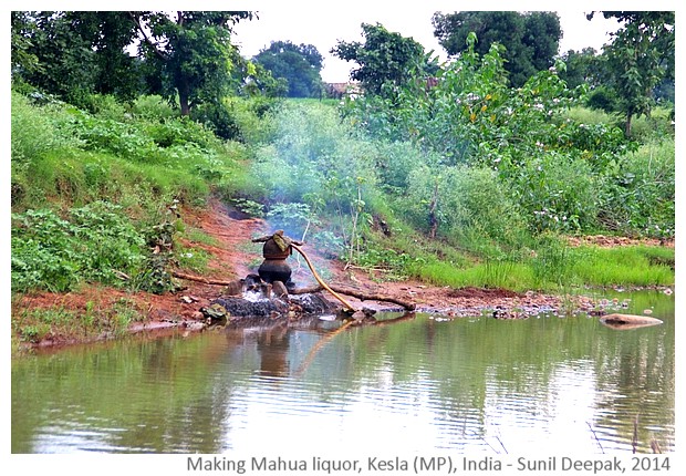 Kesla diary, India - images by Sunil Deepak, 2014