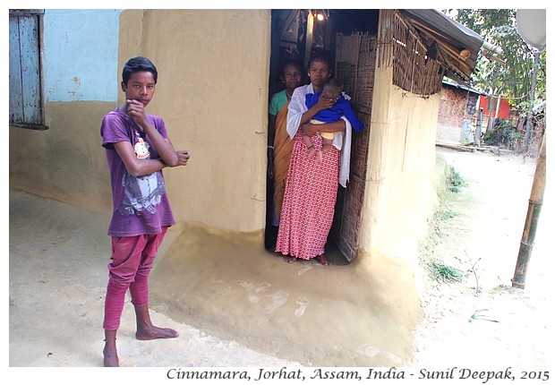 Maniram Dewan & Cinnamara tea gardens, Jorhat, Assam, India - Images by Sunil Deepak