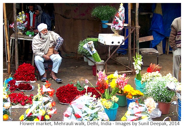 Delhi Metro Walks - Mehrauli, India - Images by Sunil Deepak, 2014