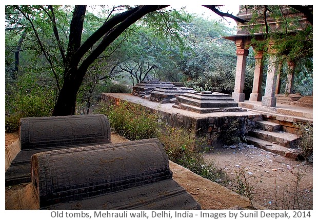 Delhi Metro Walks - Mehrauli, India - Images by Sunil Deepak, 2014