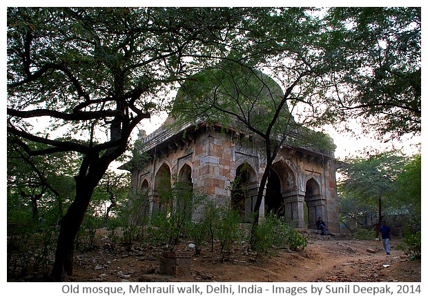 Delhi Metro Walks - Mehrauli, India - Images by Sunil Deepak, 2014