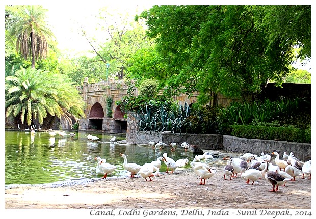 Jorbagh Metro Station walks - Lodhi garden, Safdarjung tomb - Images by Sunil Deepak