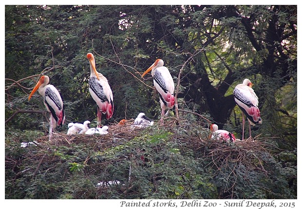 Places to visit around Pragati Maidan station of Delhi Metro - Images by Sunil Deepak