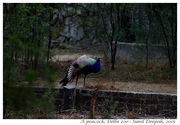 Places to visit around Pragati Maidan station of Delhi Metro - Images by Sunil Deepak