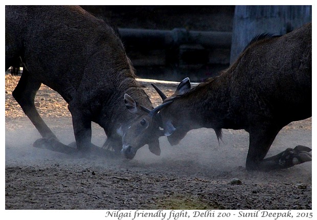 Places to visit around Pragati Maidan station of Delhi Metro - Images by Sunil Deepak