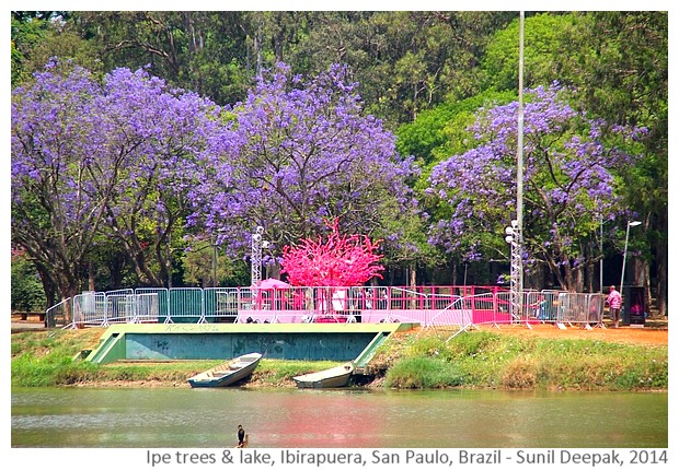 Lake Ibirapuera, San Paulo, Brazil - Images by Sunil Deepak, 2014