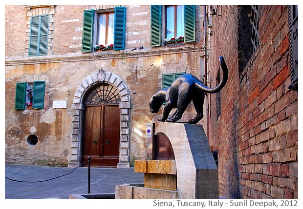 Favourite places, Siena Italy - Images by Sunil Deepak, 2012