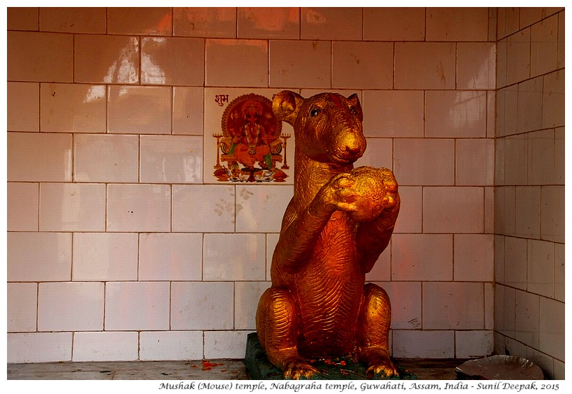 Nabagraha temple, Guwahati, Assam, India - Images by Sunil Deepak