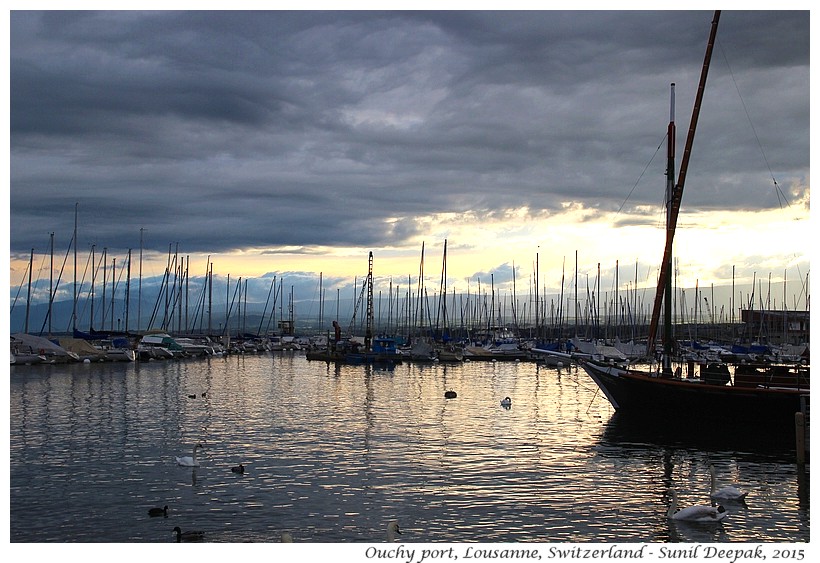 Boats & swans, Ouchy port, Lousanne, Switzerland - Images by Sunil Deepak