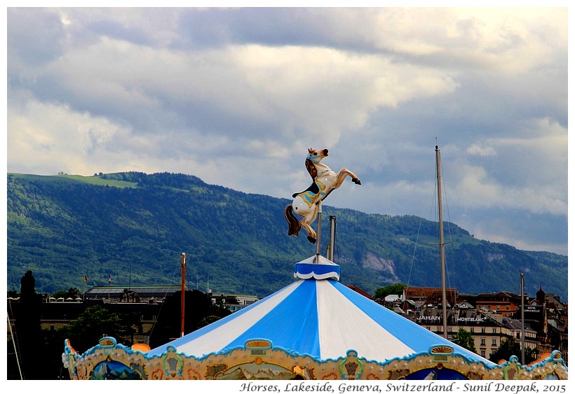 Horses, Lakeside, Geneva, Switzerland - Images by Sunil Deepak