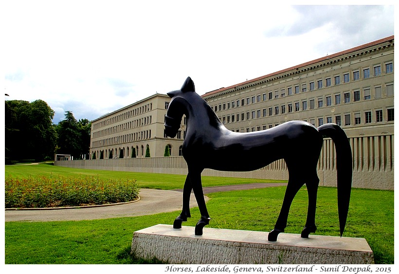 Horses, Lakeside, Geneva, Switzerland - Images by Sunil Deepak