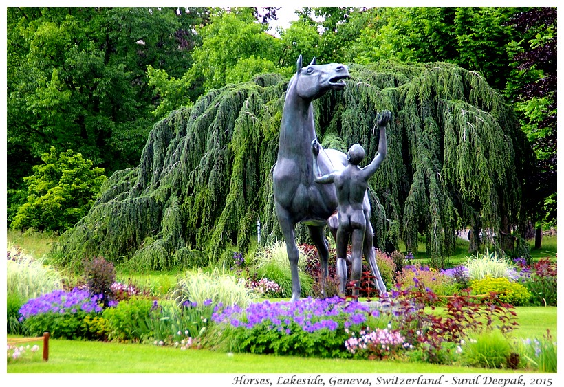 Horses, Lakeside, Geneva, Switzerland - Images by Sunil Deepak