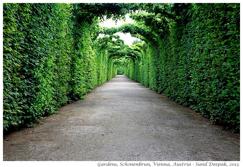 Gardens, Schonenbrun, Vienna, Austria - Images by Sunil Deepak, 2013