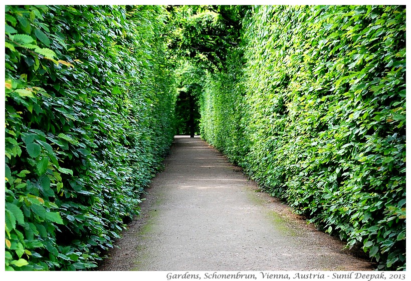 Gardens, Schonenbrun, Vienna, Austria - Images by Sunil Deepak, 2013