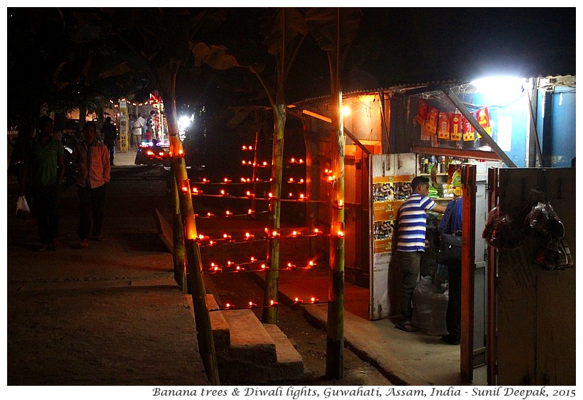 Diwali lights on banana trees, Guwahati, Assam, India - Images by Sunil Deepak