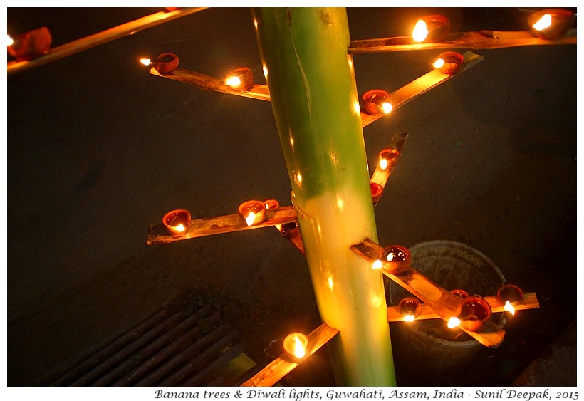 Diwali lights on banana trees, Guwahati, Assam, India - Images by Sunil Deepak