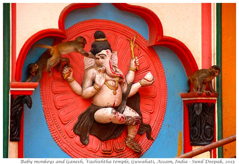 Baby monkeys on Ganesh statue, Vashishtha temple, Guwahati, Assam, India - Images by Sunil Deepak, 2015