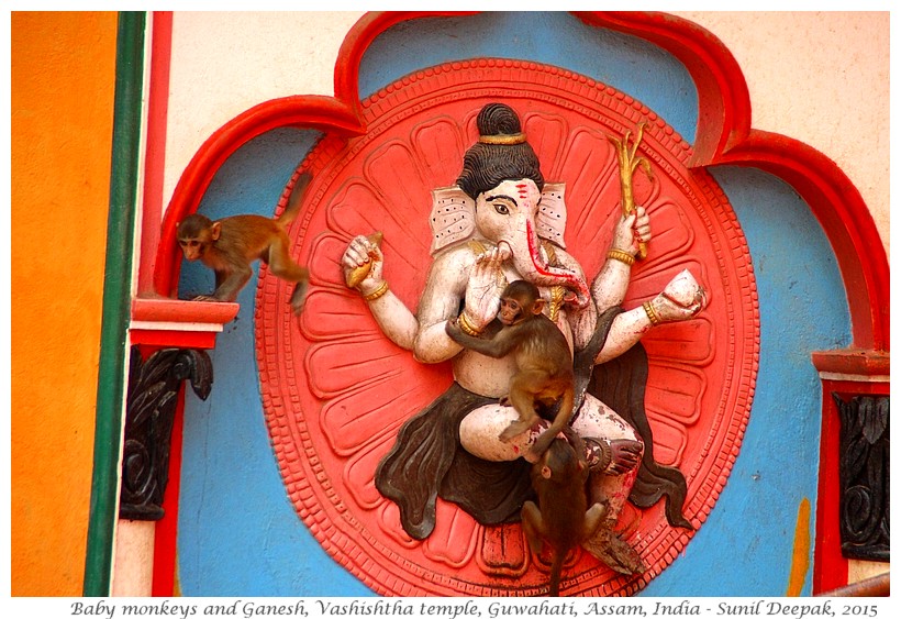 Baby monkeys on Ganesh statue, Vashishtha temple, Guwahati, Assam, India - Images by Sunil Deepak, 2015