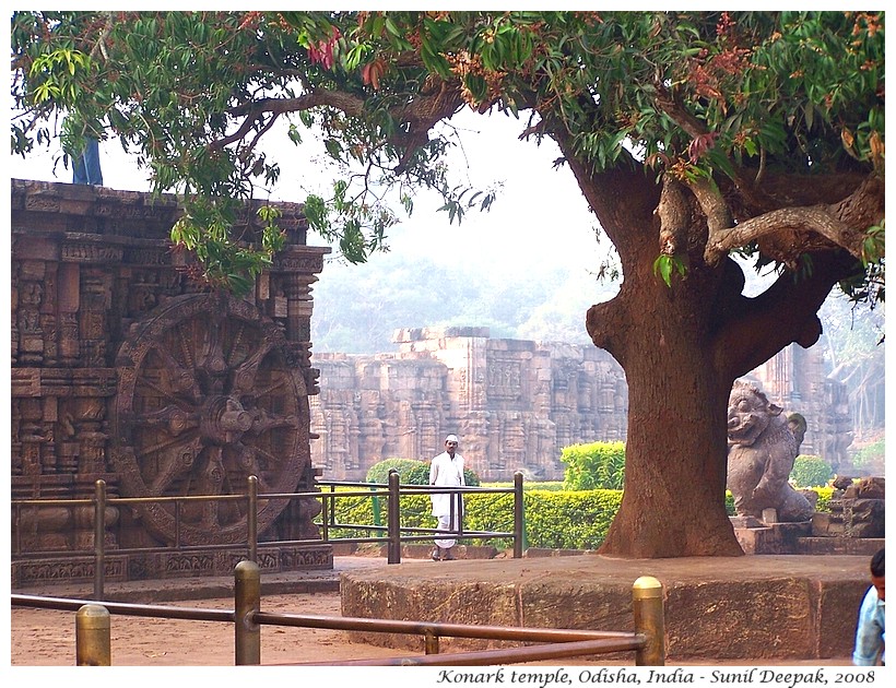 Morning at Konark temple, Odisha, India - Images by Sunil Deepak