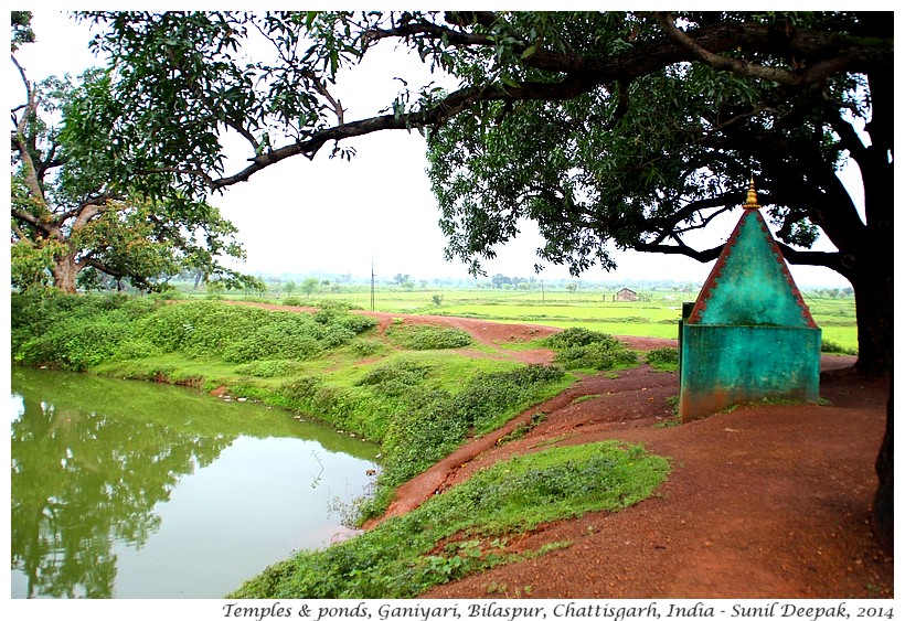 Village ponds with temples, Ganiyari, Bilaspur, Chattisgarh, India - Images by Sunil Deepak