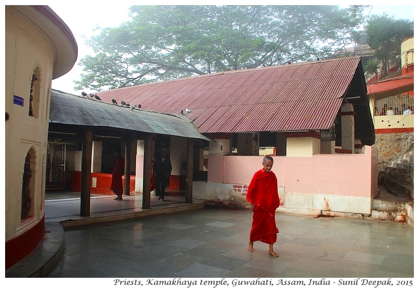 Priests, Kamakhaya temple, Guwahati, Assam, India - Images by Sunil Deepak