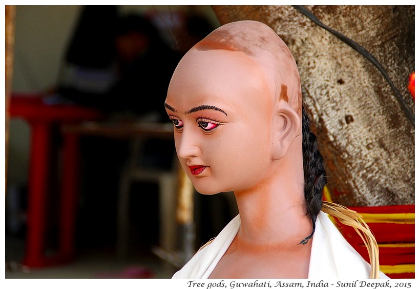 Devta statues under a tree, Guwahati, Assam, India - Images by Sunil Deepak, 2015