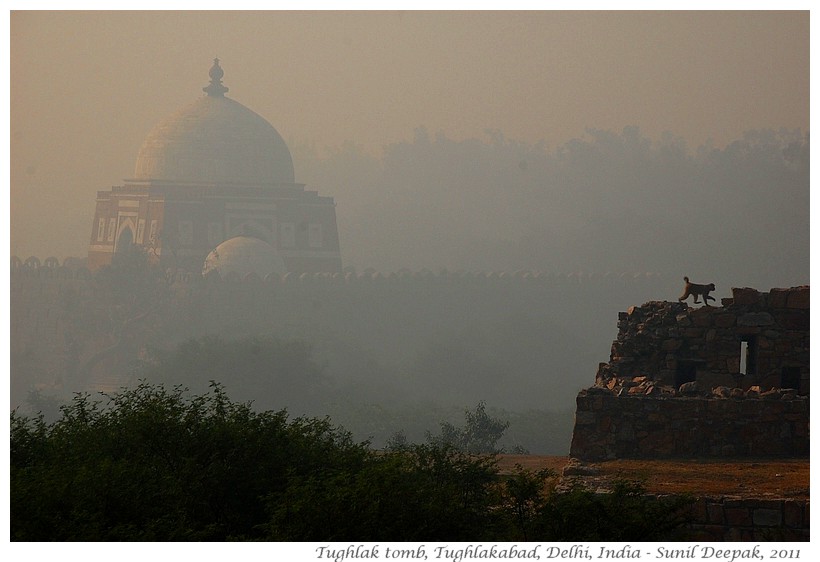 Tughlak tomb, Tughlakabad, Delhi, India - Images by Sunil Deepak