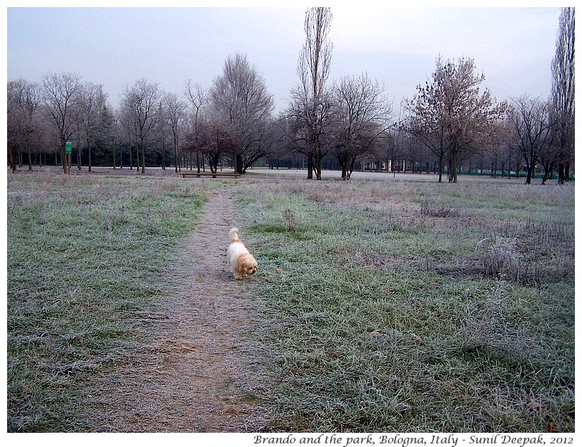 Brando in the park, Bologna, Italy - Images by Sunil Deepak