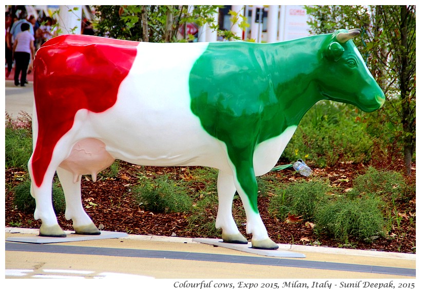 Colourful cows, Expo 2015, Milan, Italy - Images by Sunil Deepak