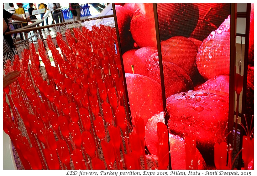 LED flowers, Turkey Pavilion, Expo 2015, Milan, Italy - Images by Sunil Deepak