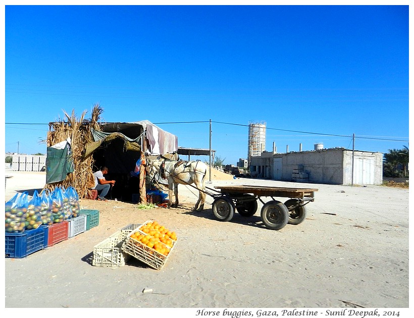 Horse carts, Gaza, Palestine - Images by Sunil Deepak