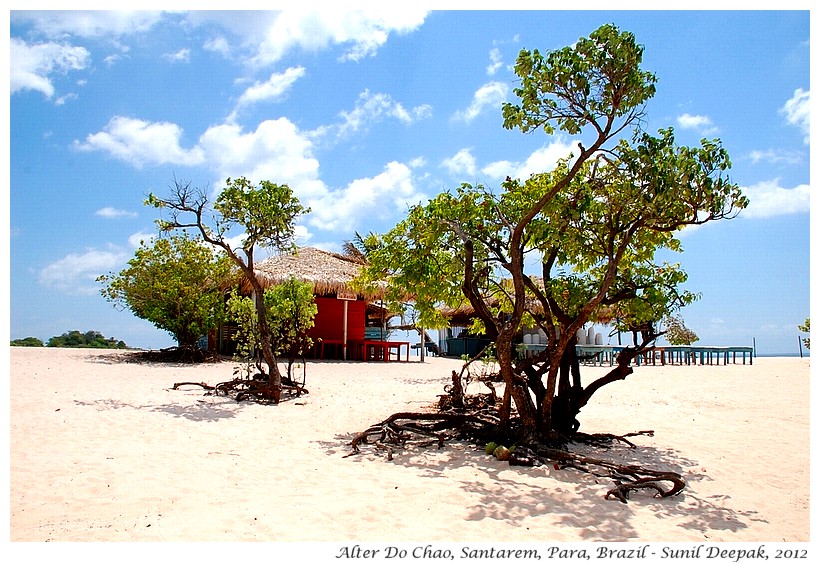 Alter do Chao, Santarem, Para, Brazil - Images by Sunil Deepak