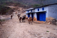 Mountain villages from Nepal