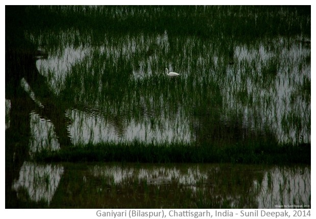 Free High resolution Wall-papers from Bilaspur District, Chattisgarh, India - Images by Sunil Deepak