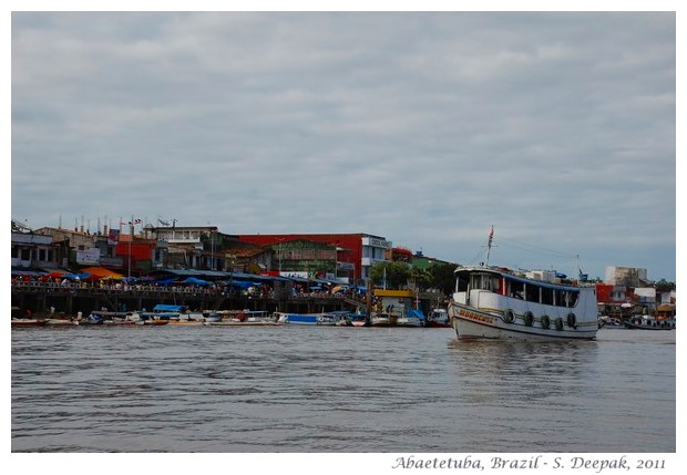 River islands in Amazon rain forest, images by S. Deepak