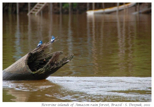 River islands in Amazon rain forest, images by S. Deepak