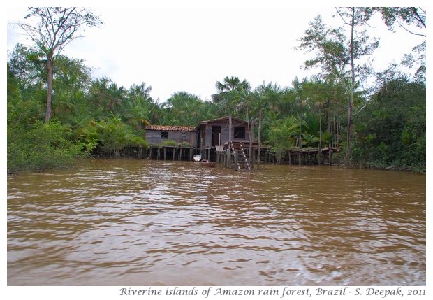 River islands in Amazon rain forest, images by S. Deepak