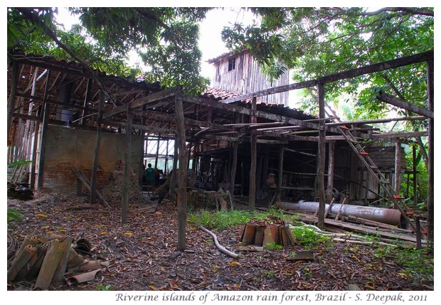 River islands in Amazon rain forest, images by S. Deepak