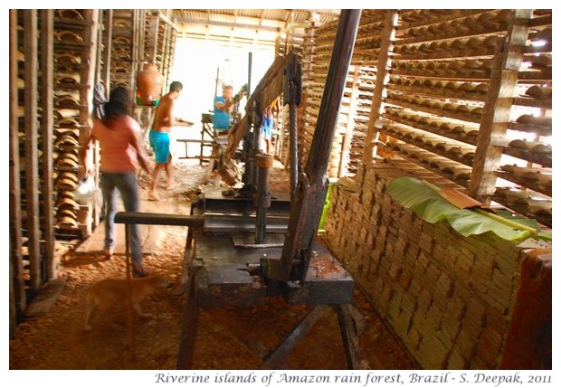 River islands in Amazon rain forest, images by S. Deepak