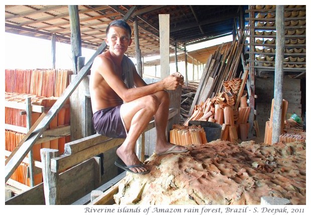 River islands in Amazon rain forest, images by S. Deepak