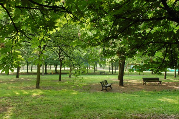 Park Bologna - images by Sunil Deepak