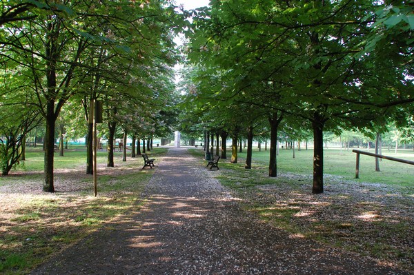 Park Bologna - images by Sunil Deepak