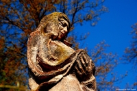 Beautiful terracotta sculptures from Bologna, Italy