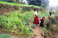 Mountain villages from Nepal