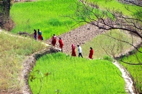 Mountain villages from Nepal