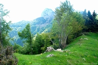 Tonezza del Cimone & Altopiano Fiorentino