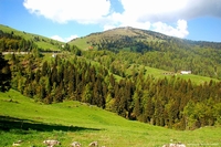 Tonezza del Cimone & Altopiano Fiorentino