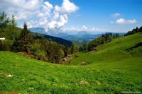 Tonezza del Cimone & Altopiano Fiorentino