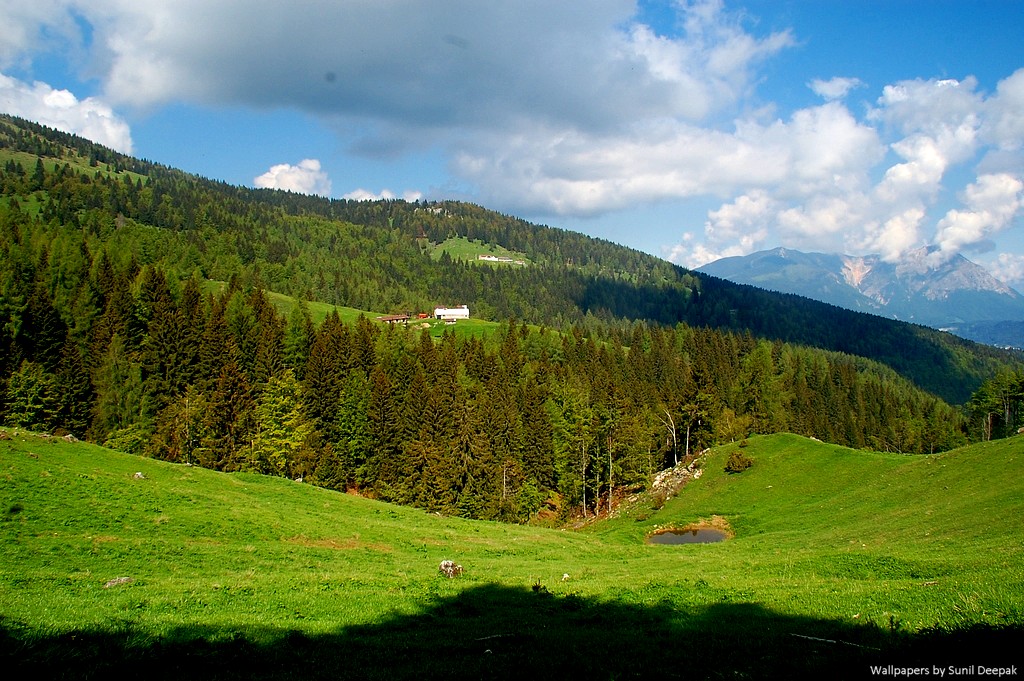 Beautiful, Hi-resolution free wall papers by Sunil Deepak